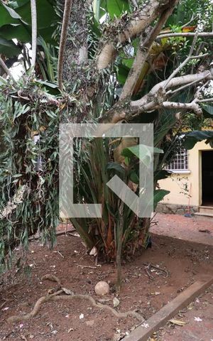 Casa para alugar com 800m², 4 quartos e 6 vagasQuintal