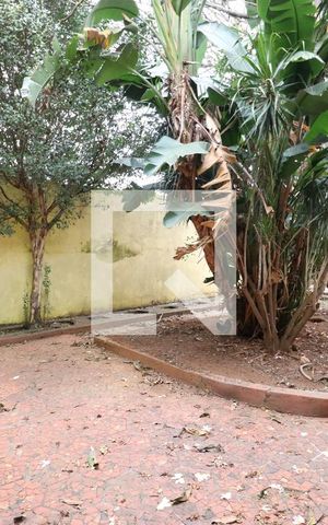 Casa para alugar com 800m², 4 quartos e 6 vagasQuintal