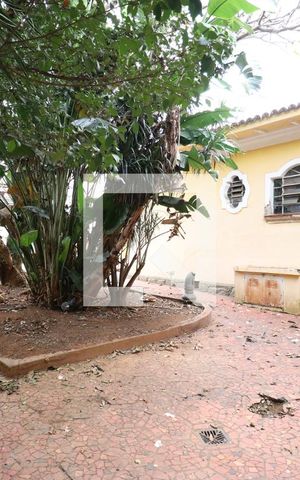 Casa para alugar com 800m², 4 quartos e 6 vagasQuintal