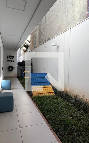 Studio para alugar com 23m², 1 quarto e sem vaga Studio para alugar com 23m², 1 quarto e sem vagaPet space