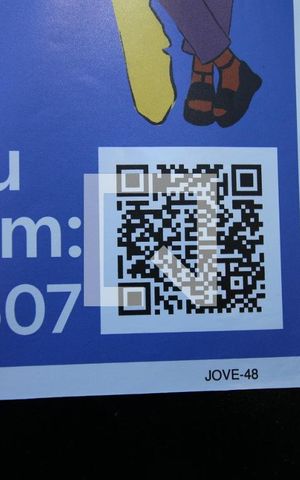 Casa à venda com 268m², 3 quartos e 1 vagaQR Code