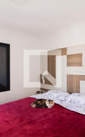 Apartamento à venda com 53m², 2 quartos e 1 vagaSuíte