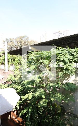 Casa para alugar com 60m², 1 quarto e sem vagaVista da cozinha