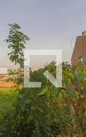 Casa à venda com 150m², 3 quartos e 1 vaga Casa à venda com 150m², 3 quartos e 1 vagaVista da Cozinha