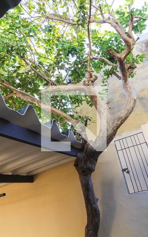 Casa para alugar com 120m², 2 quartos e 2 vagasVista