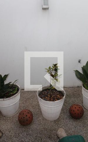 Casa à venda com 250m², 4 quartos e 4 vagasQuarto 2 - Banheiro
