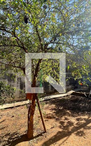 Casa à venda com 119m², 3 quartos e sem vaga Casa à venda com 119m², 3 quartos e sem vagaQuintal