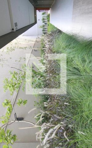 Apartamento para alugar com 31m², 1 quarto e sem vagaArea Verde