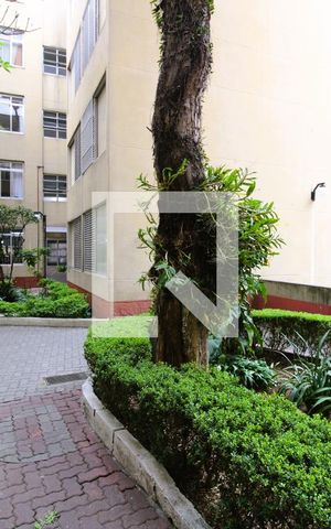 Apartamento à venda com 60m², 2 quartos e 1 vagaÁrea comum