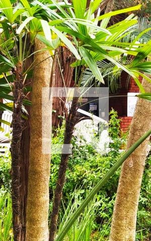 Apartamento à venda com 38m², 1 quarto e 1 vagaÁrea comum - Churrasqueira