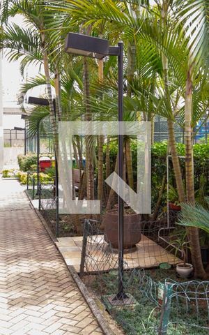 Apartamento para alugar com 65m², 3 quartos e 1 vaga Apartamento para alugar com 65m², 3 quartos e 1 vagaÁrea comum