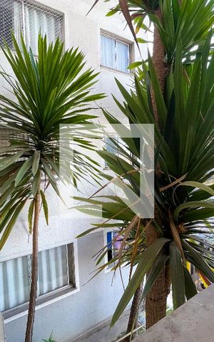 Apartamento para alugar com 47m², 2 quartos e 1 vaga Apartamento para alugar com 47m², 2 quartos e 1 vagajanela da sala