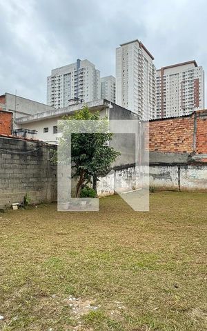 Casa para alugar com 400m², 4 quartos e 8 vagasQuintal