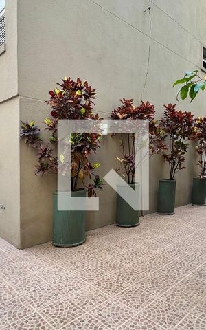 Apartamento para alugar com 145m², 3 quartos e 1 vaga Apartamento para alugar com 145m², 3 quartos e 1 vagaÁrea comum