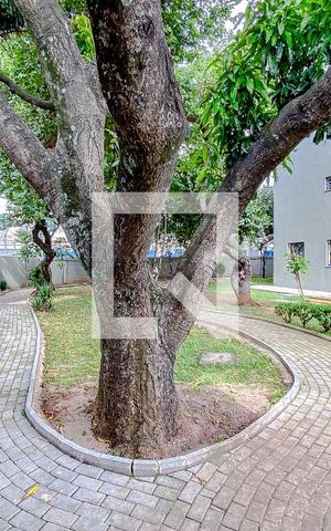 Apartamento para alugar com 50m², 2 quartos e 1 vagaÁrea comum