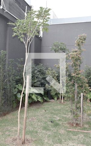 Apartamento para alugar com 29m², 1 quarto e sem vagaChurrasqueira