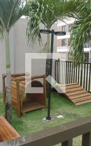 Apartamento para alugar com 60m², 2 quartos e sem vagaPetplace