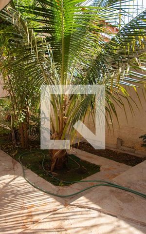 Casa para alugar com 261m², 5 quartos e 3 vagasJardim