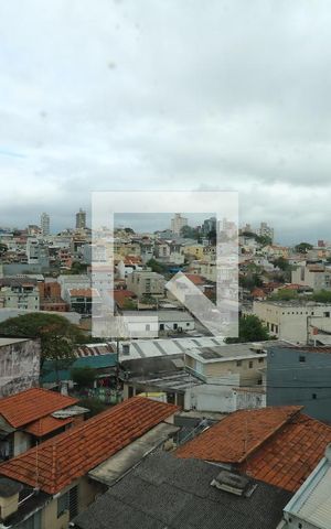 Apartamento à venda com 230m², 4 quartos e 2 vagasVista da Cobertura - Varanda