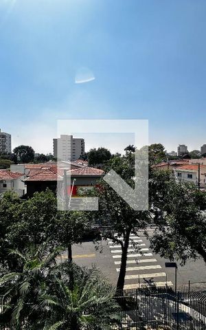 Apartamento à venda com 237m², 3 quartos e 3 vagasVista
