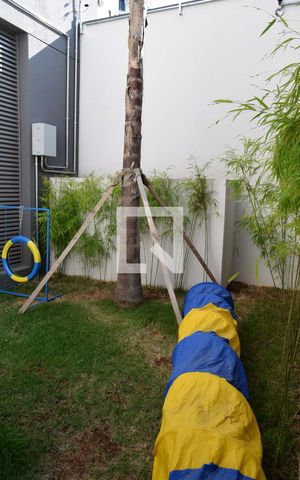 Studio para alugar com 24m², 1 quarto e sem vagaPetplace