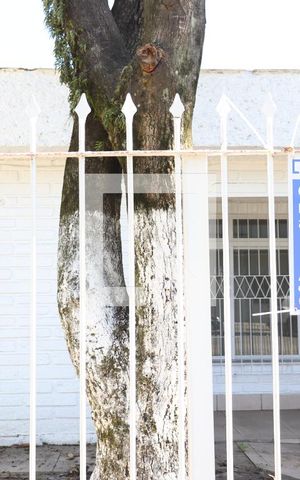 Casa para alugar com 180m², 5 quartos e 2 vagasFachada