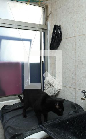 Apartamento para alugar com 65m², 3 quartos e 1 vagaLavanderia