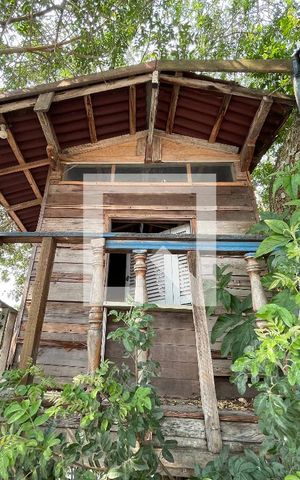 Casa à venda com 370m², 5 quartos e 4 vagas Casa à venda com 370m², 5 quartos e 4 vagasCasa na árvore