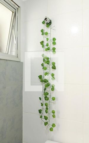 Apartamento à venda com 64m², 2 quartos e 1 vagaBanheiro de Serviço/Lavabo