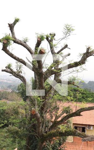 Casa à venda com 225m², 3 quartos e 3 vagasVista do Quarto 2