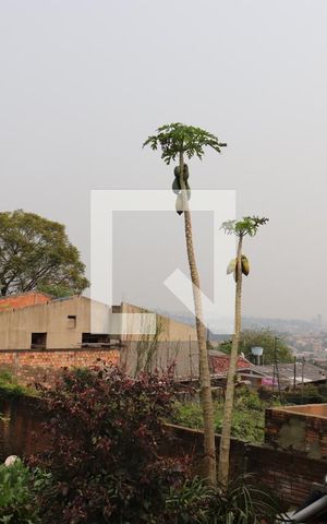 Casa à venda com 225m², 3 quartos e 3 vagasVista