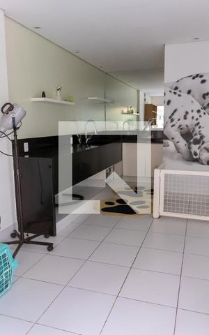 Apartamento para alugar com 63m², 2 quartos e 1 vaga Apartamento para alugar com 63m², 2 quartos e 1 vagaEspaço Pet