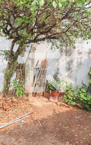 Casa à venda com 244m², 4 quartos e 3 vagas Casa à venda com 244m², 4 quartos e 3 vagasQuintal