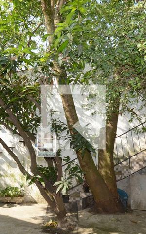 Casa à venda com 232m², 3 quartos e 4 vagasVista da Suíte