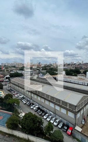 Apartamento à venda com 71m², 3 quartos e 1 vaga Apartamento à venda com 71m², 3 quartos e 1 vagaVista suíte varanda