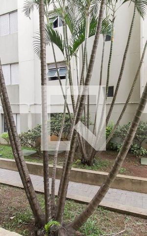 Apartamento à venda com 48m², 2 quartos e 1 vaga Apartamento à venda com 48m², 2 quartos e 1 vagaVista Varanda da Sala