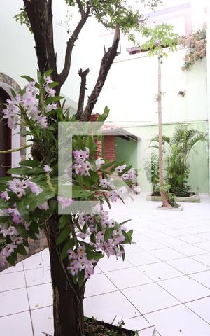 Casa à venda com 300m², 4 quartos e 4 vagasQuintal