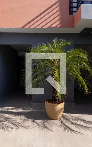 Apartamento para alugar com 31m², 1 quarto e sem vagaEntrada