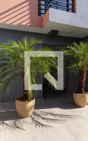 Apartamento para alugar com 31m², 1 quarto e sem vagaEntrada