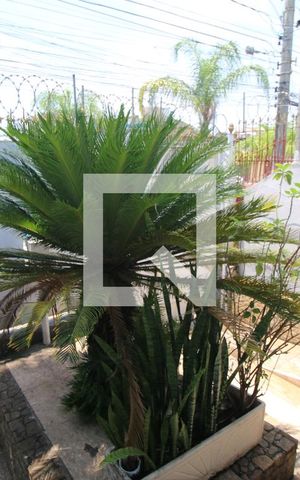 Casa à venda com 300m², 3 quartos e 2 vagasQuintal - Frente e Jardim