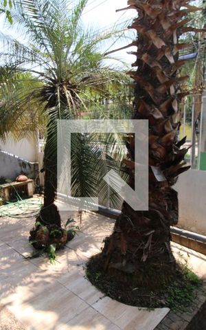 Casa à venda com 300m², 3 quartos e 2 vagasQuintal - Frente e Jardim