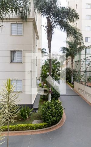 Apartamento à venda com 67m², 3 quartos e 1 vaga Apartamento à venda com 67m², 3 quartos e 1 vagaVista do Quarto 2