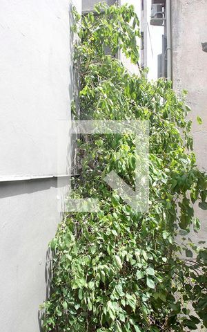 Casa à venda com 358m², 4 quartos e 5 vagasCozinha Vista