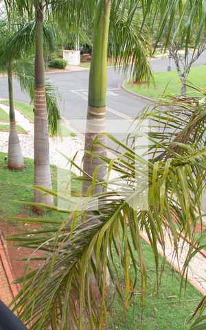 Casa de condomínio para alugar com 520m², 4 quartos e 6 vagasVista da Suíte 4