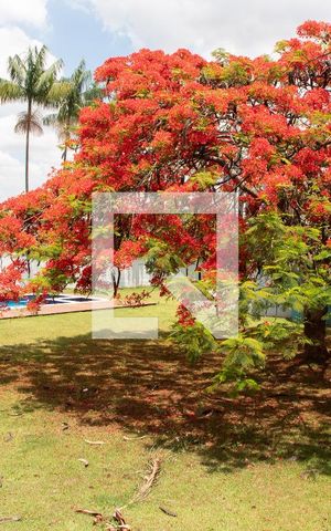 Casa de condomínio para alugar com 520m², 4 quartos e 6 vagasÁrea Externa