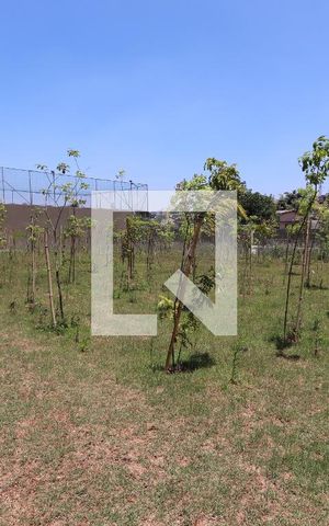 Apartamento à venda com 38m², 2 quartos e 1 vagaÁrea comum - Pomar