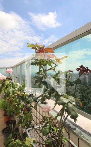 Apartamento à venda com 260m², 4 quartos e 4 vagasTerraço