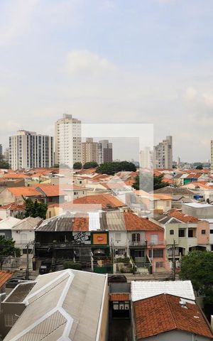 Apartamento à venda com 200m², 3 quartos e 3 vagas Apartamento à venda com 200m², 3 quartos e 3 vagasSuíte 2