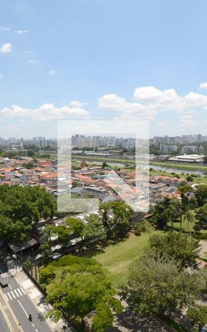 Apartamento à venda com 35m², 2 quartos e sem vagaVista do Quarto 2