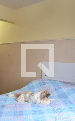 Apartamento à venda com 94m², 3 quartos e 1 vaga Apartamento à venda com 94m², 3 quartos e 1 vagaSuíte